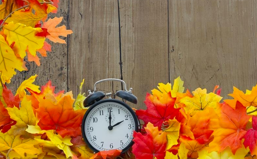 An alarm clock is surrounded by yellow and orange leaves.