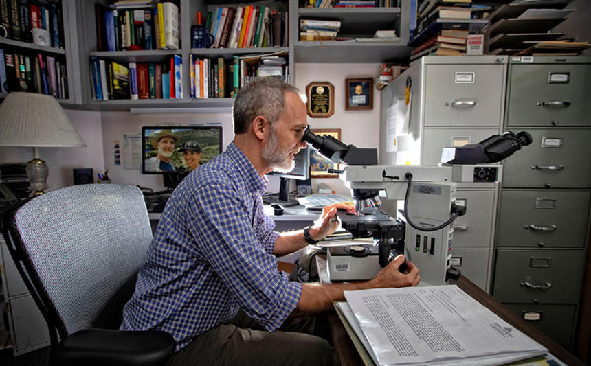 Dr. Greg Davis looks into a microscope.
