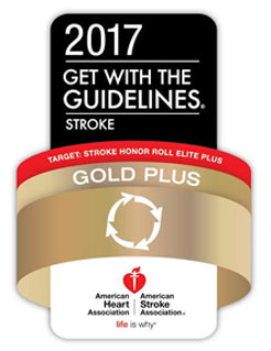 Gold Plus Award Badge