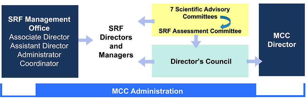 sr management org chart