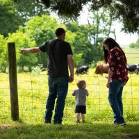 Caleb and Amelia show their son Cason some cows grazing in a pasture on their farm.