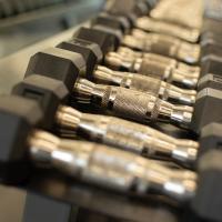 A close up of a rack of heavy dumbbells all lined up.